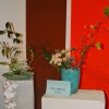 expozitie ikebana 7