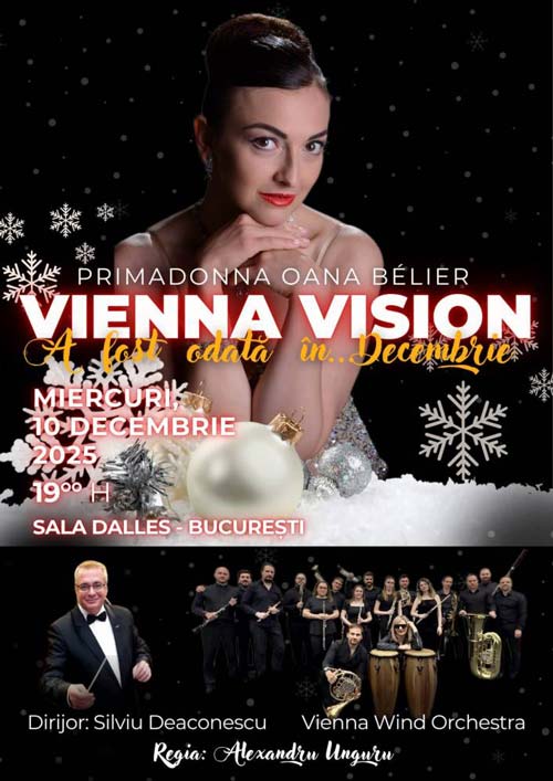 Vienna Vision – A fost odată în decembrie